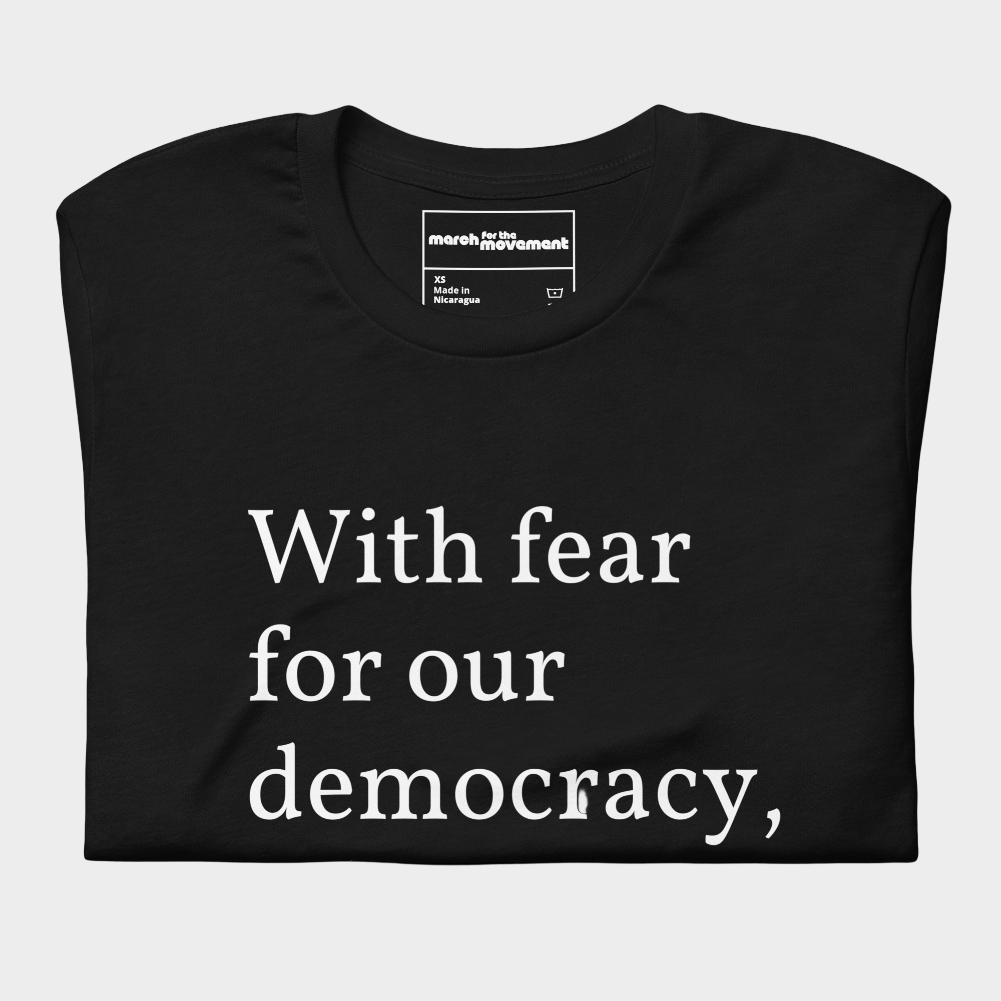 With Fear For Our Democracy, I Dissent T-Shirt