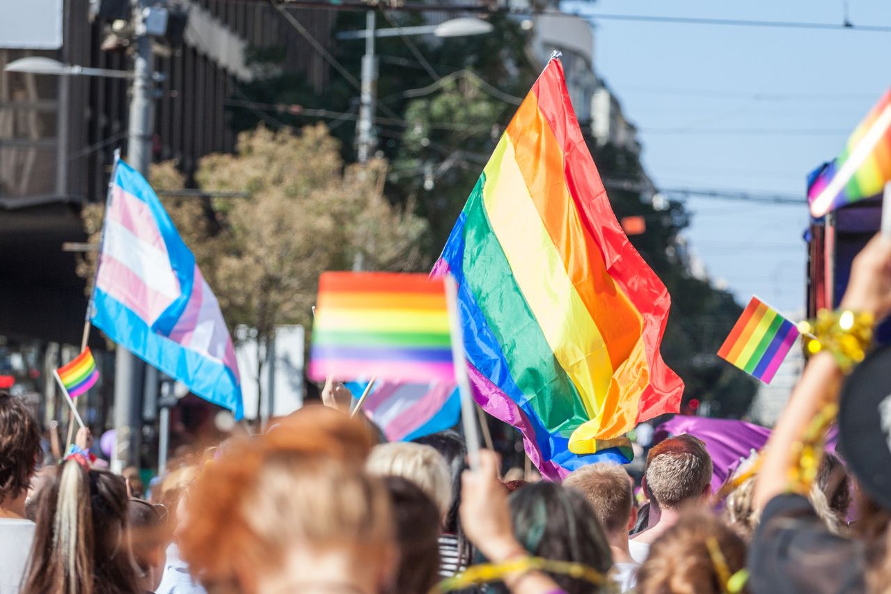 Your First Pride Survival Guide