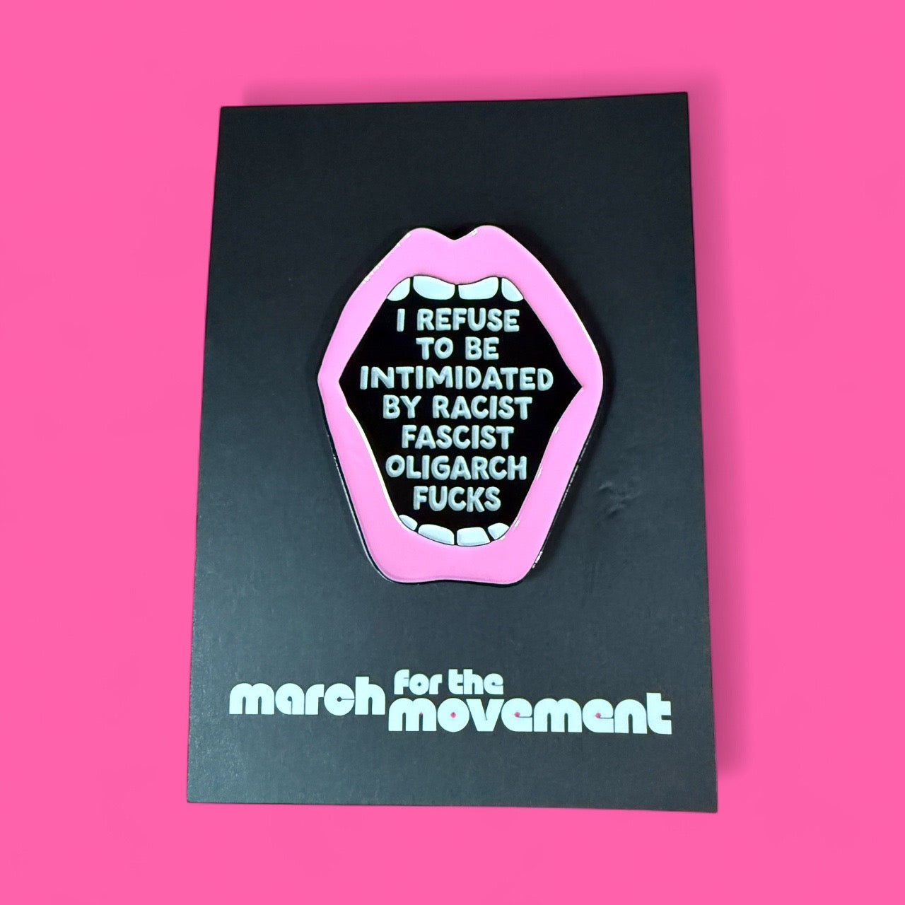 FDT Holiday Gift Box – Progressive Feminist Christmas Gift for Activists, Democrats & Anti-Trump Friends