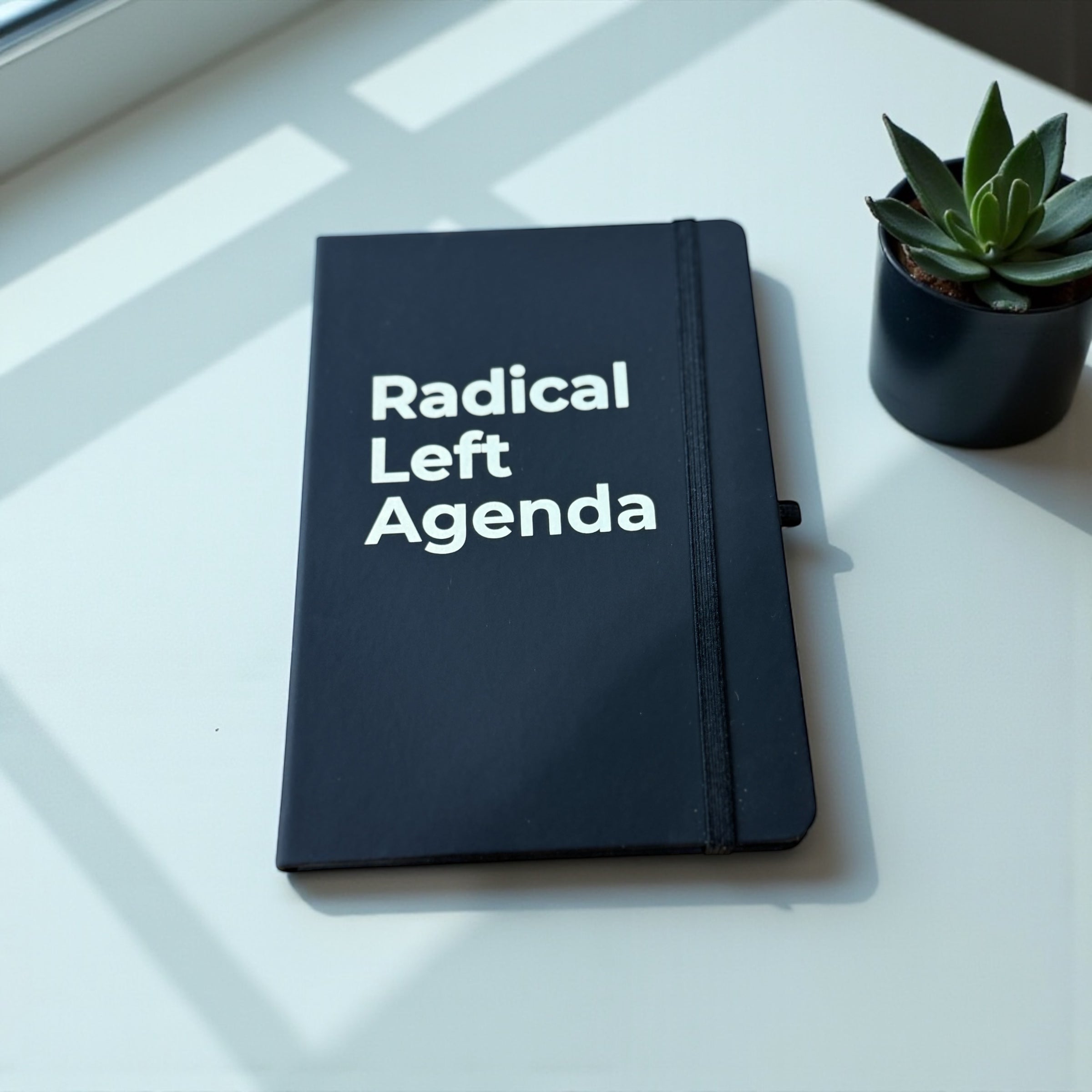 FDT Holiday Gift Box – Progressive Feminist Christmas Gift for Activists, Democrats & Anti-Trump Friends