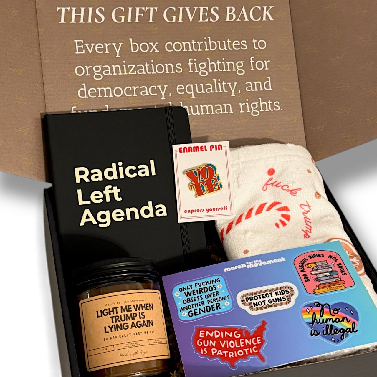 FDT Holiday Gift Box – Progressive Feminist Christmas Gift for Activists, Democrats & Anti-Trump Friends