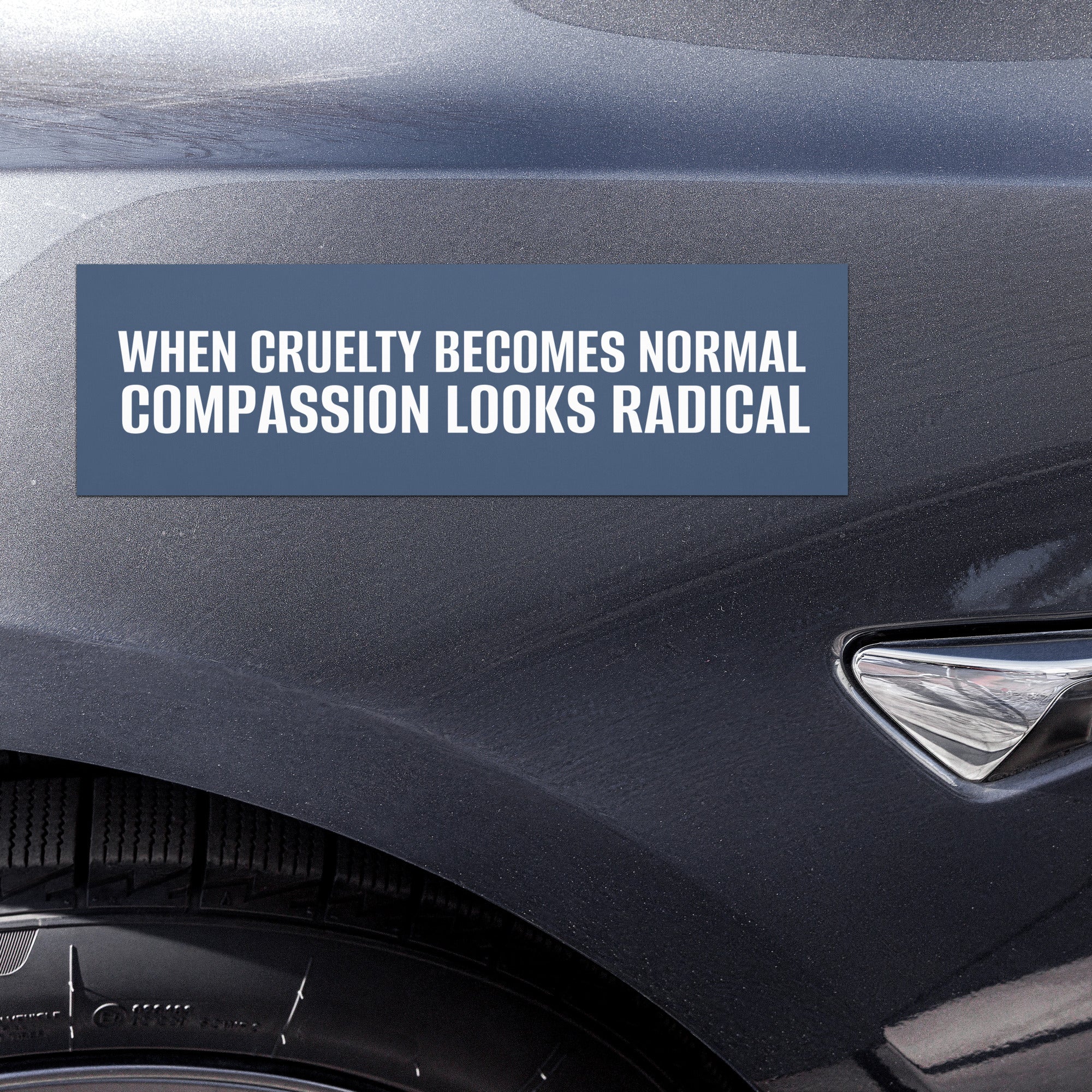 When Cruelty Becomes Normal Compassion Looks Radical Car Magnet โ March ...