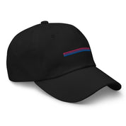 Bi Rainbow Stripes Hat