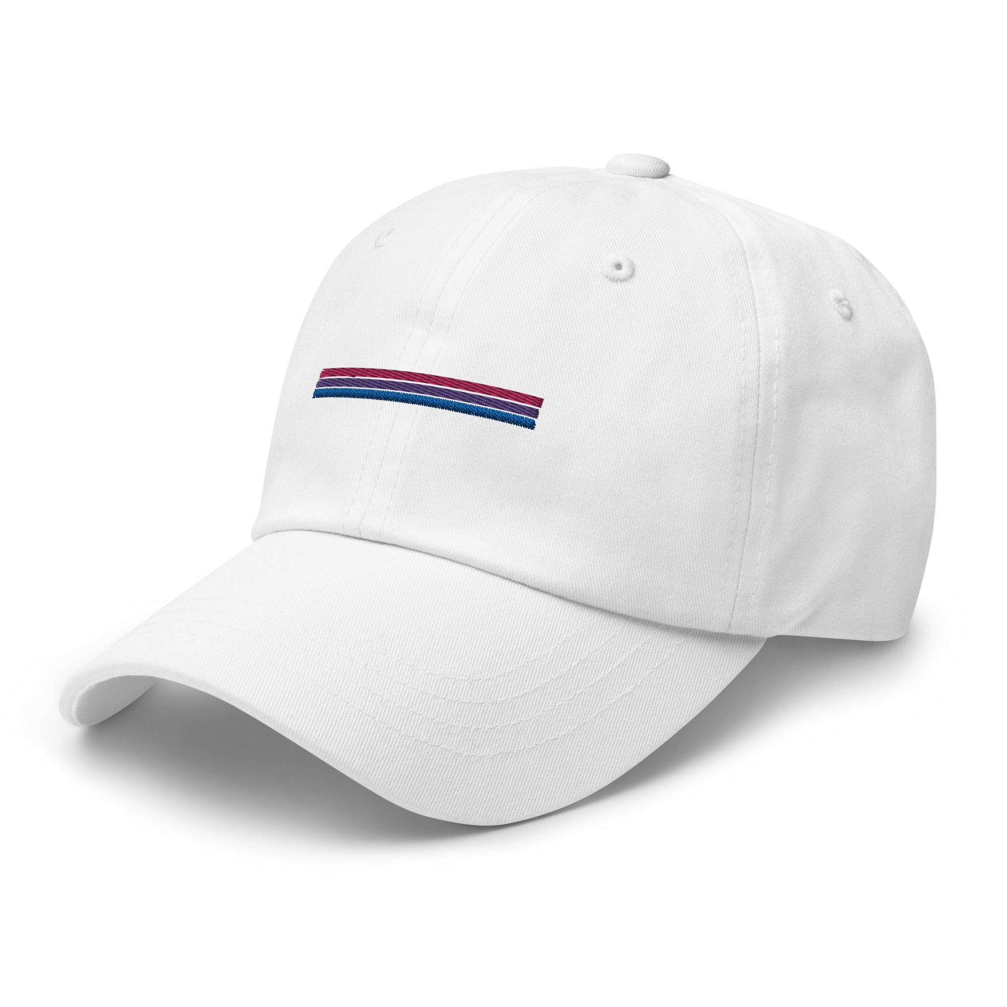 Bi Rainbow Stripes Hat