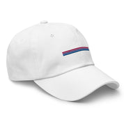 Bi Rainbow Stripes Hat