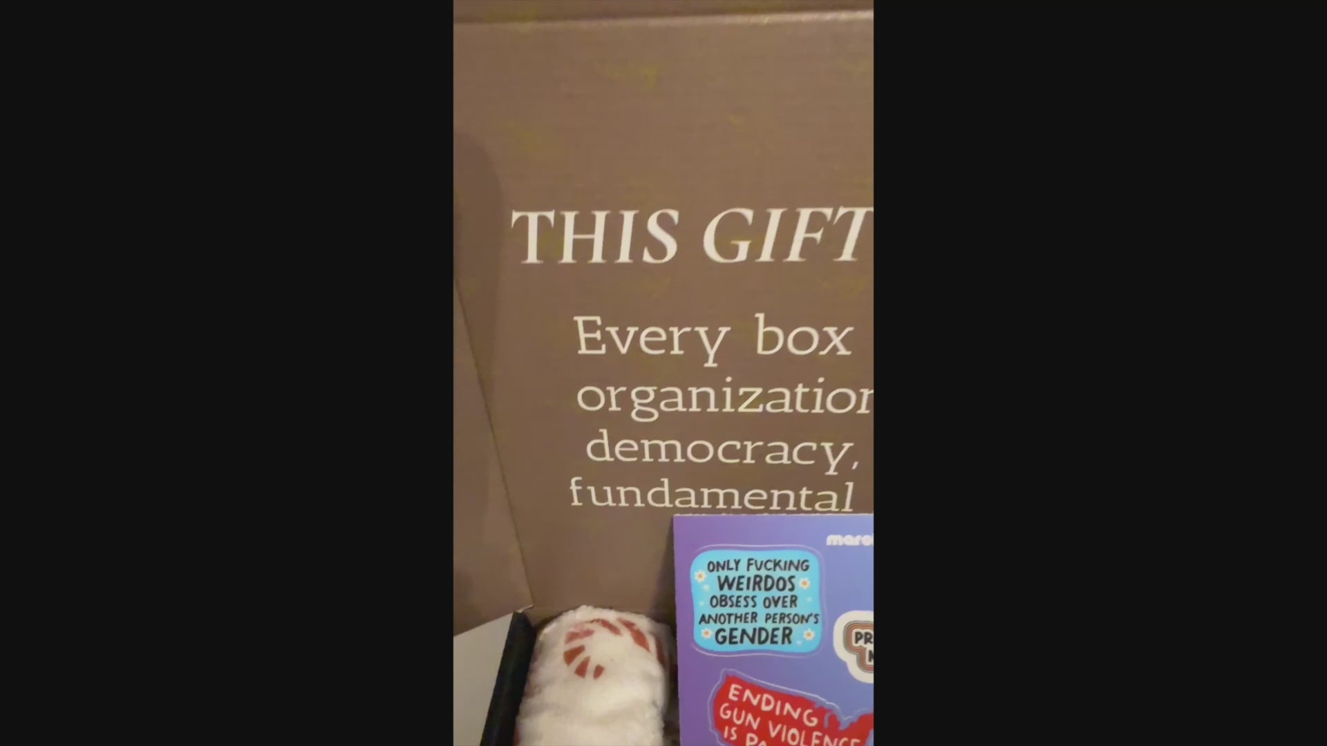 FDT Holiday Gift Box – Progressive Feminist Christmas Gift for Activists, Democrats & Anti-Trump Friends
