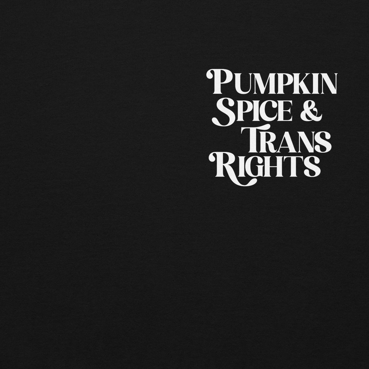 Pumpkin Spice and Trans Rights Hoodie