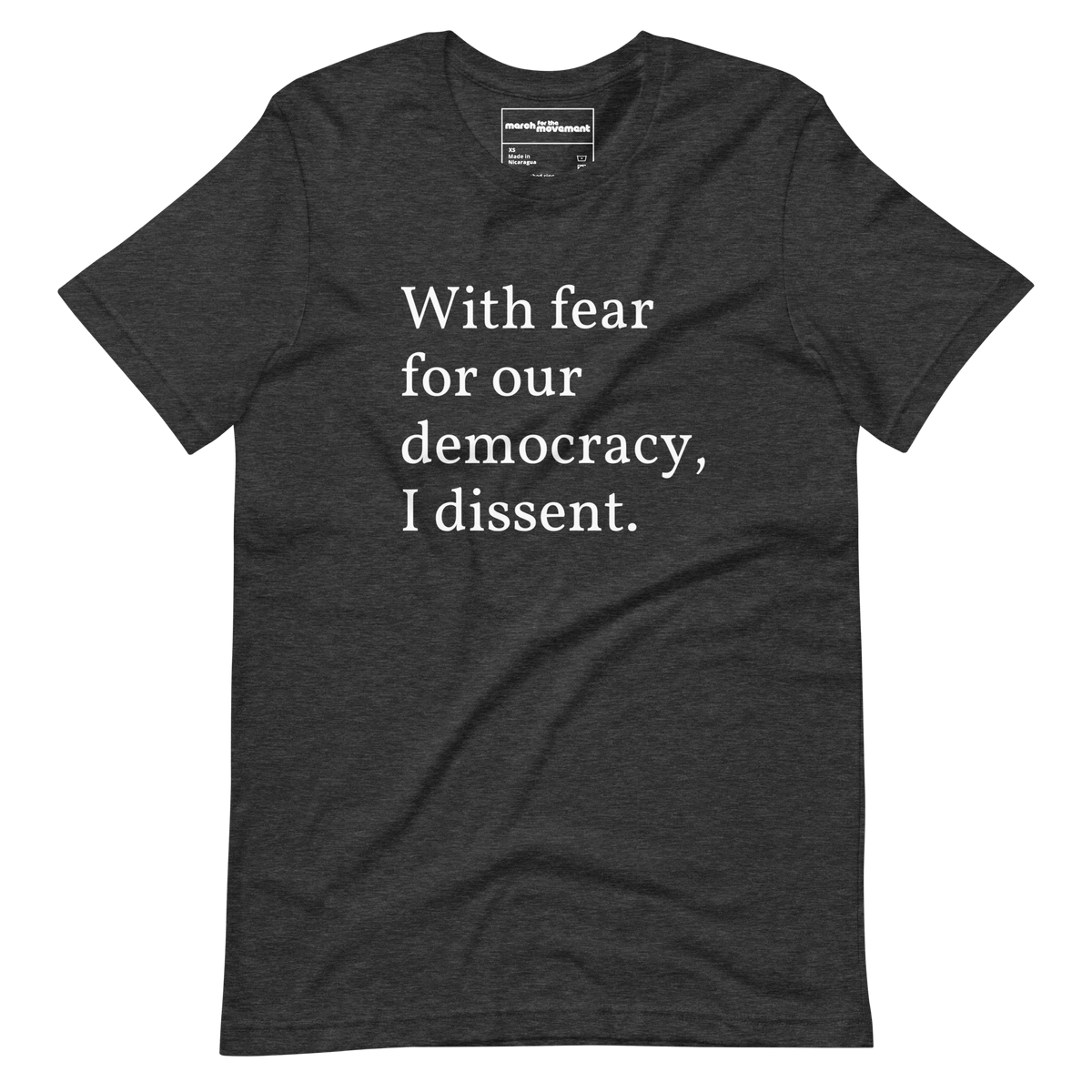 With Fear For Our Democracy, I Dissent T-Shirt