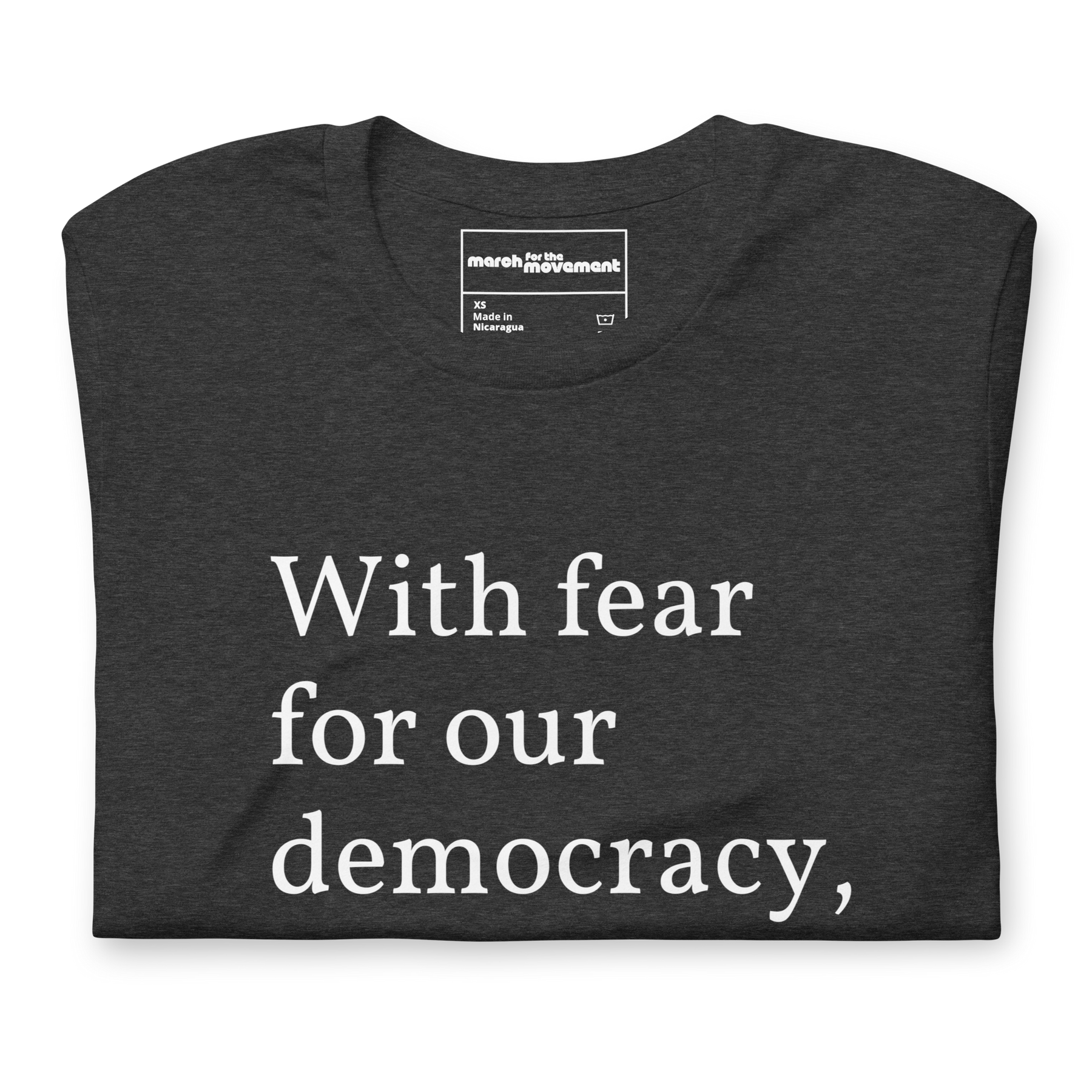 With Fear For Our Democracy, I Dissent T-Shirt