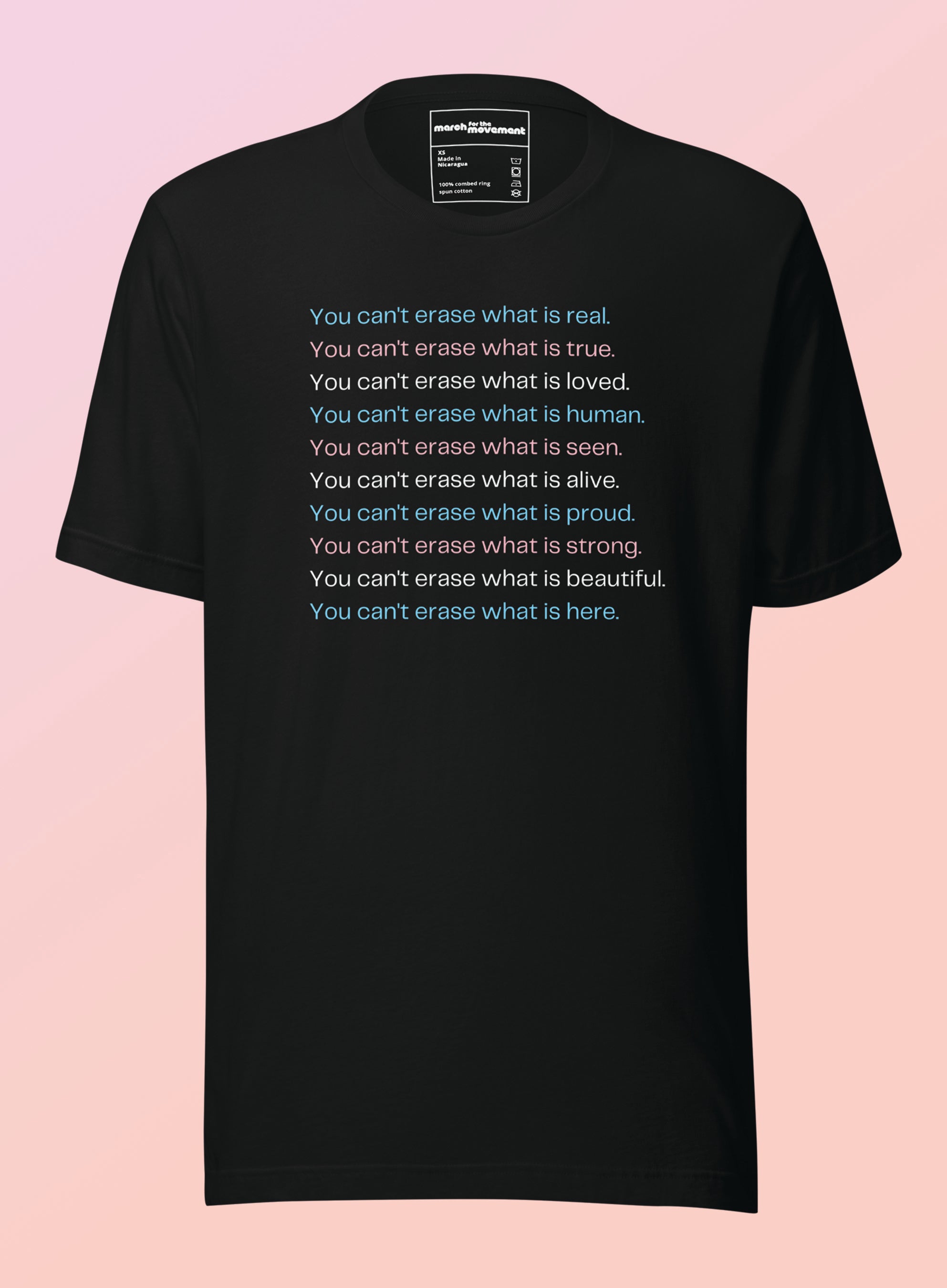 Trans Erasure Shirt - Trans Ally