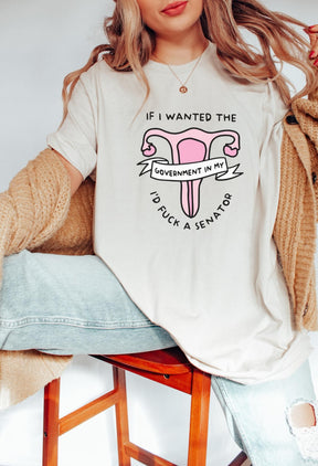 If I Wanted the Government in my Uterus T-Shirt